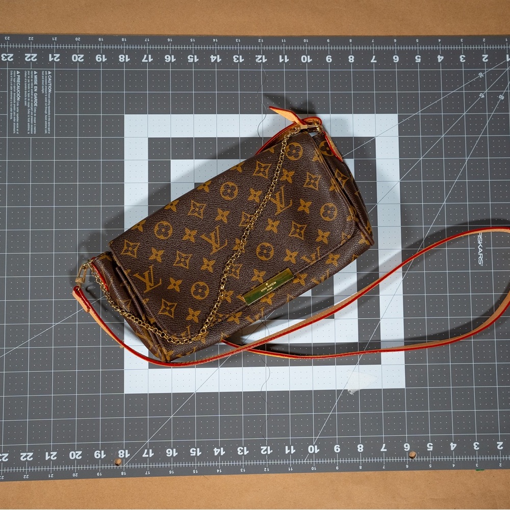 Louis Vuitton • BAG